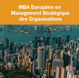 Mastère européen management stratégique des organisations dexcif institut
